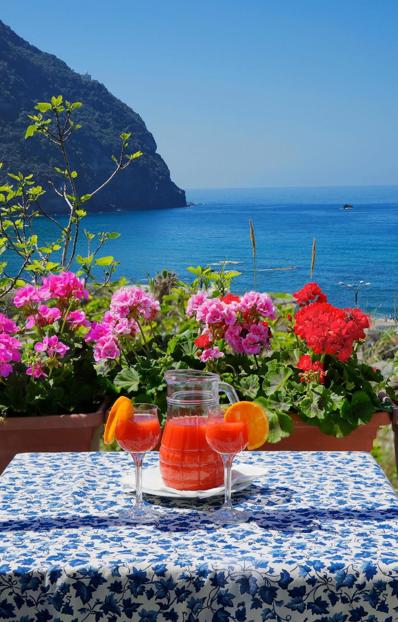 Hotel Casa del Sole Forio (Isola d'Ischia) Exterior foto