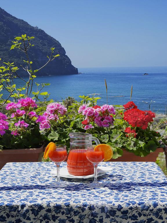 Hotel Casa del Sole Forio (Isola d'Ischia) Exterior foto
